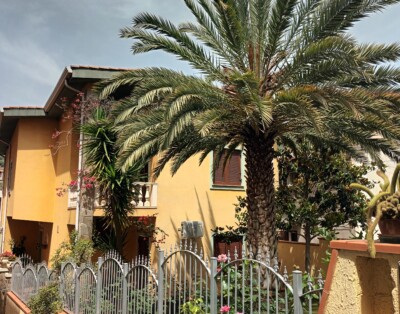 Valentina’s garden house
